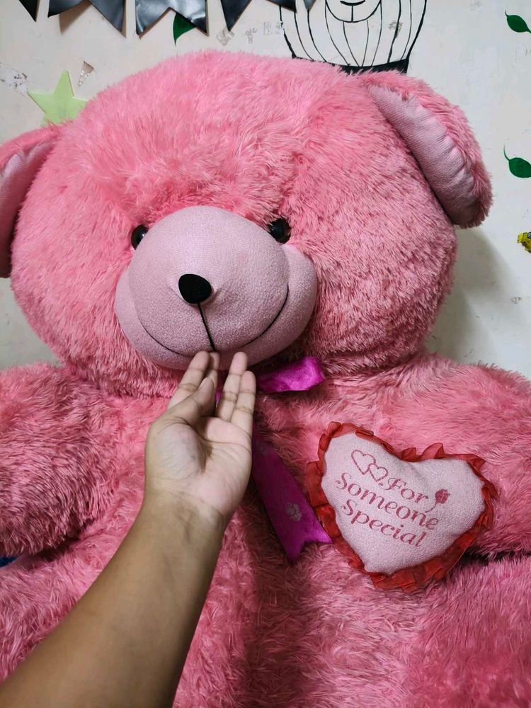 Pink Gaint Teddy Bear