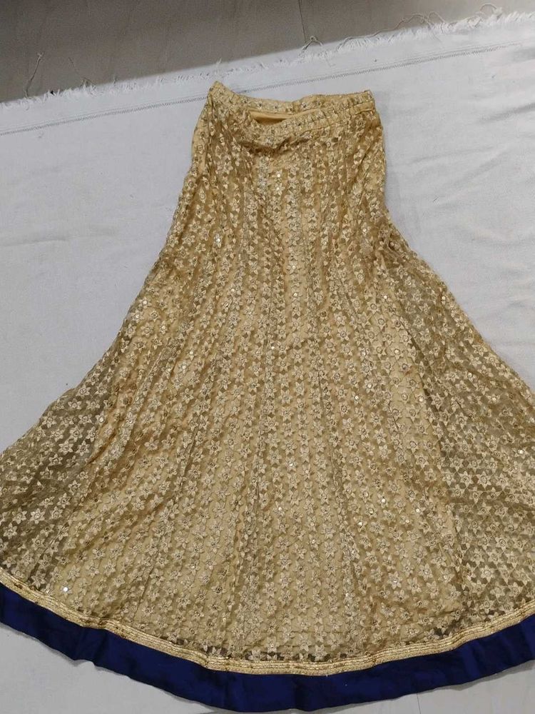 Gold Embellished Ethnic Skirt