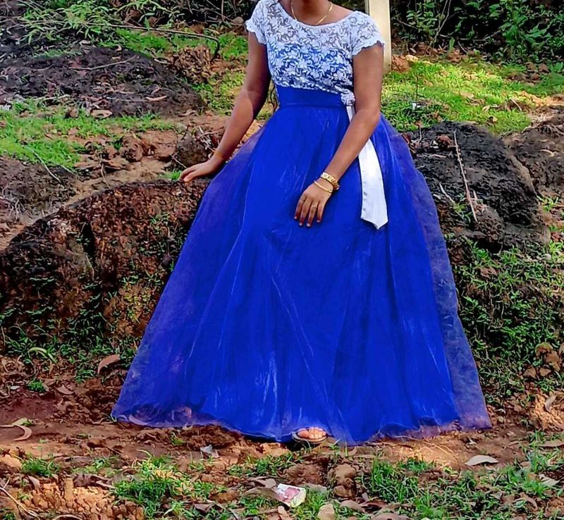 Elegant Blue Neted Gown