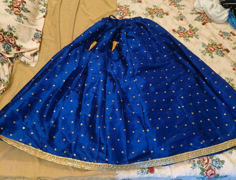 Blue Embellished Ethnic Skirt