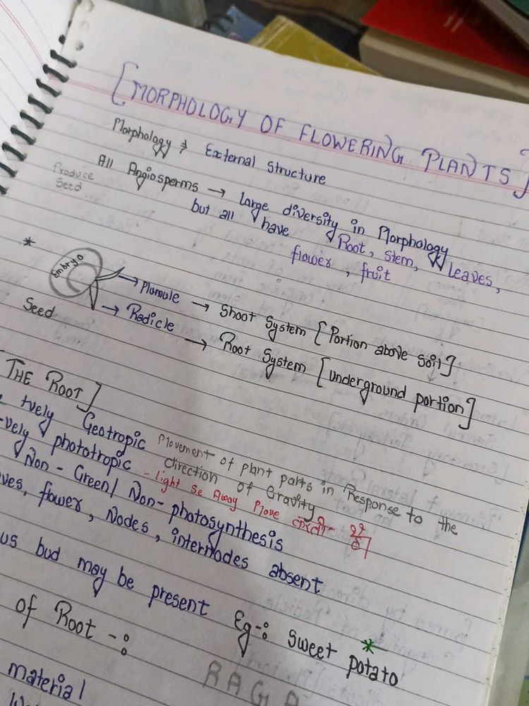 Biology Notes For Neet