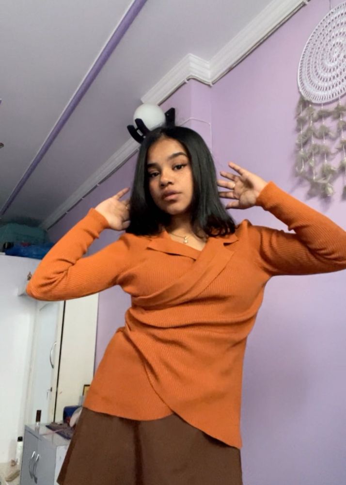 Brown Sweater
