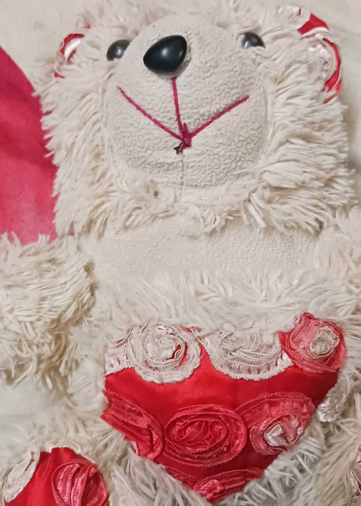 Teddy Bear Combo