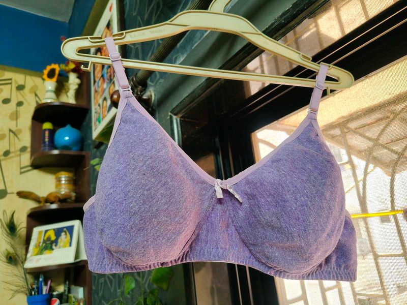 Graceful Lavender Brassiere