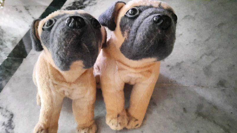 Pug Plush Toys 2pcs