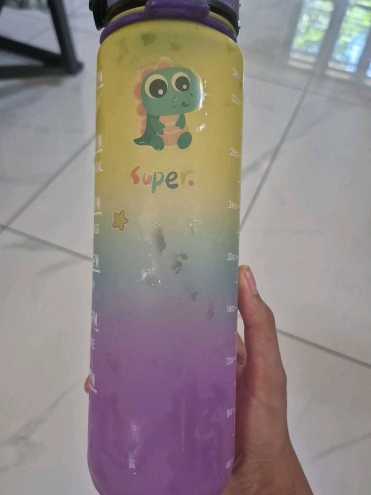 Ombre Dinosaur Water Bottle