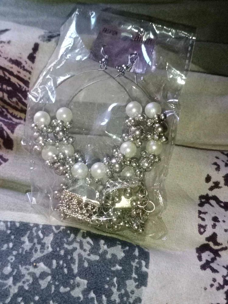 Long Silver Metal Earrings
