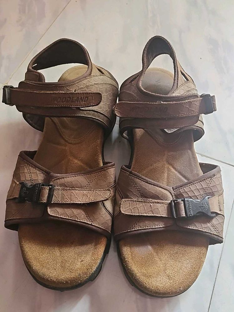 Woodland Sandal Uk11