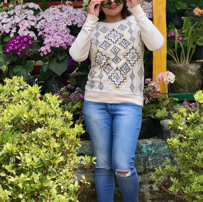 Allen Solly Embroidered Top/Sweatshirt