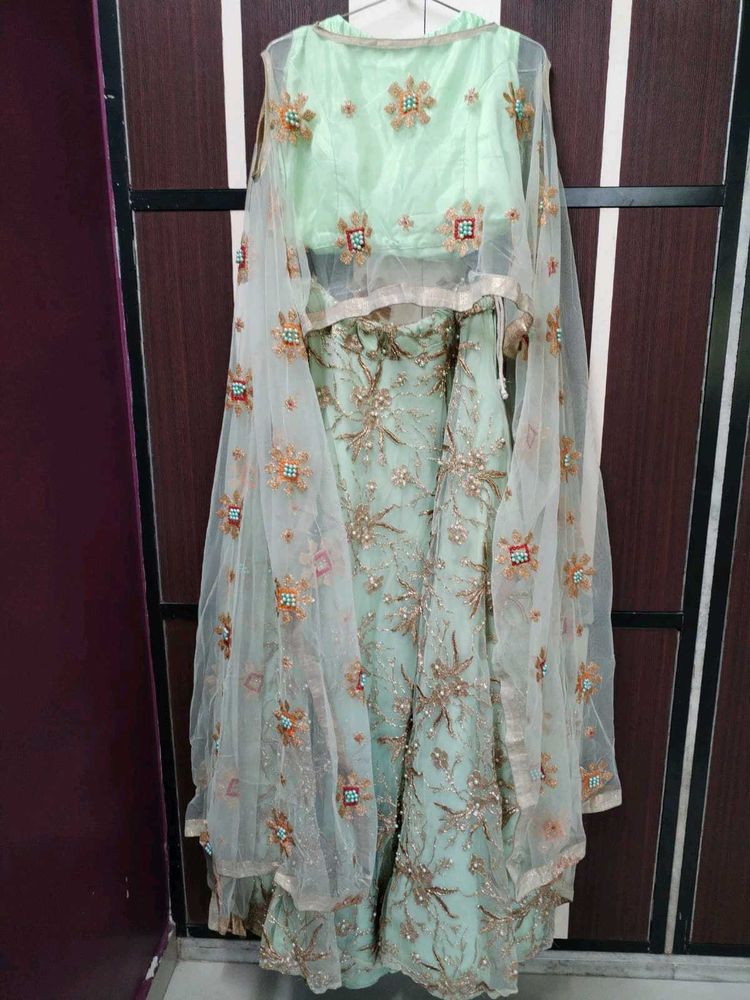 Elegant Mint Green Lehenga Choli