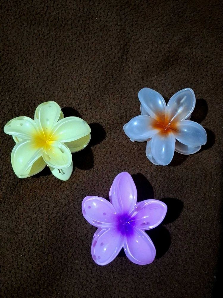 Flower Hair Clips - Set of 3