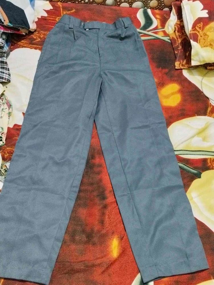 Grey Formal pant
