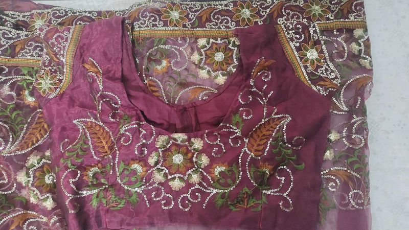 Net Embroidered sareer