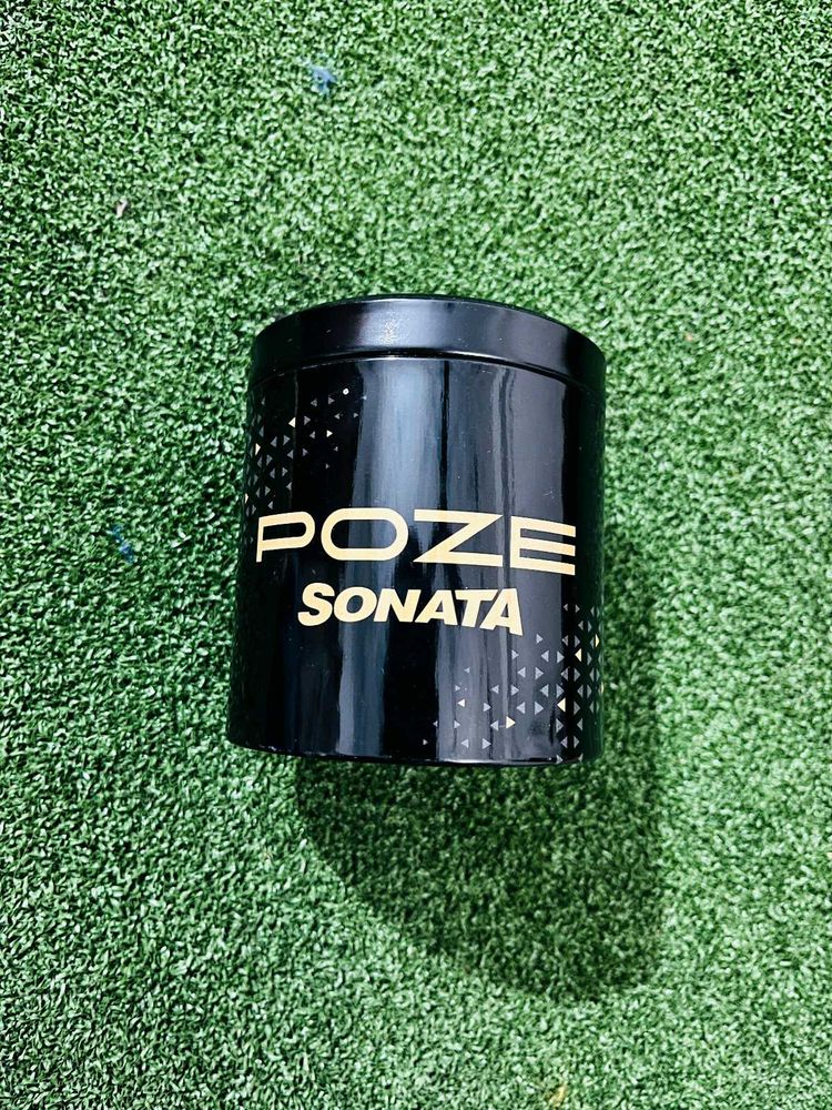 Sonata Poze Quartz Silver Dial Silve