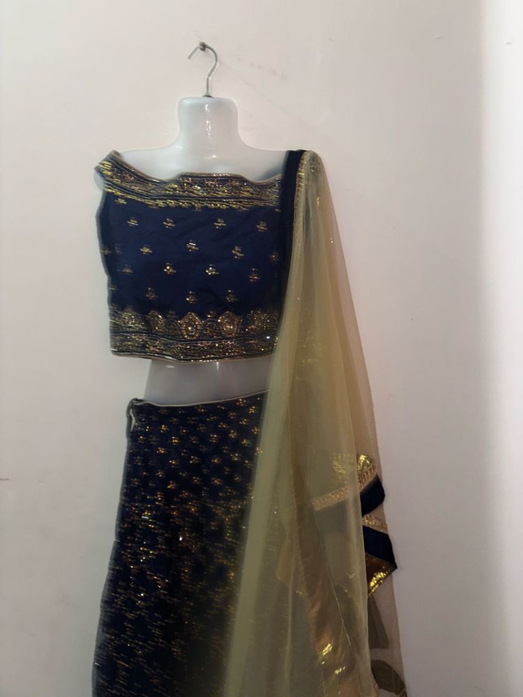 Elegant Lehenga Choli Set