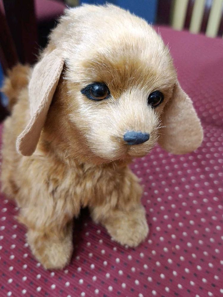 Puppy - Sensor Toy