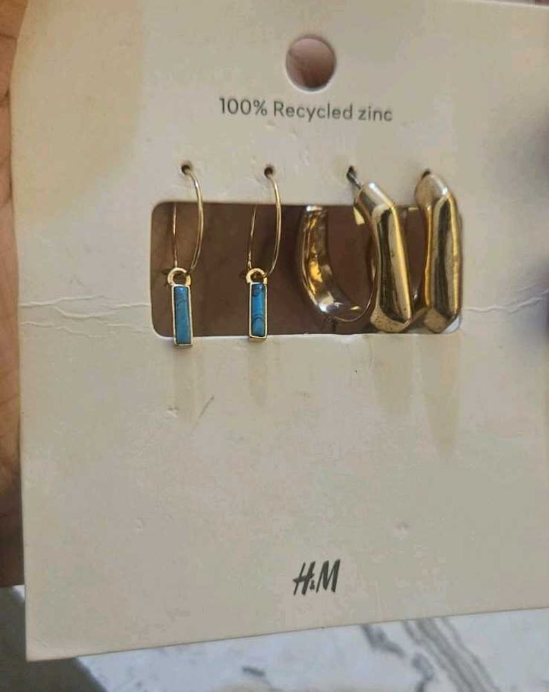 Hoops Max Earring.