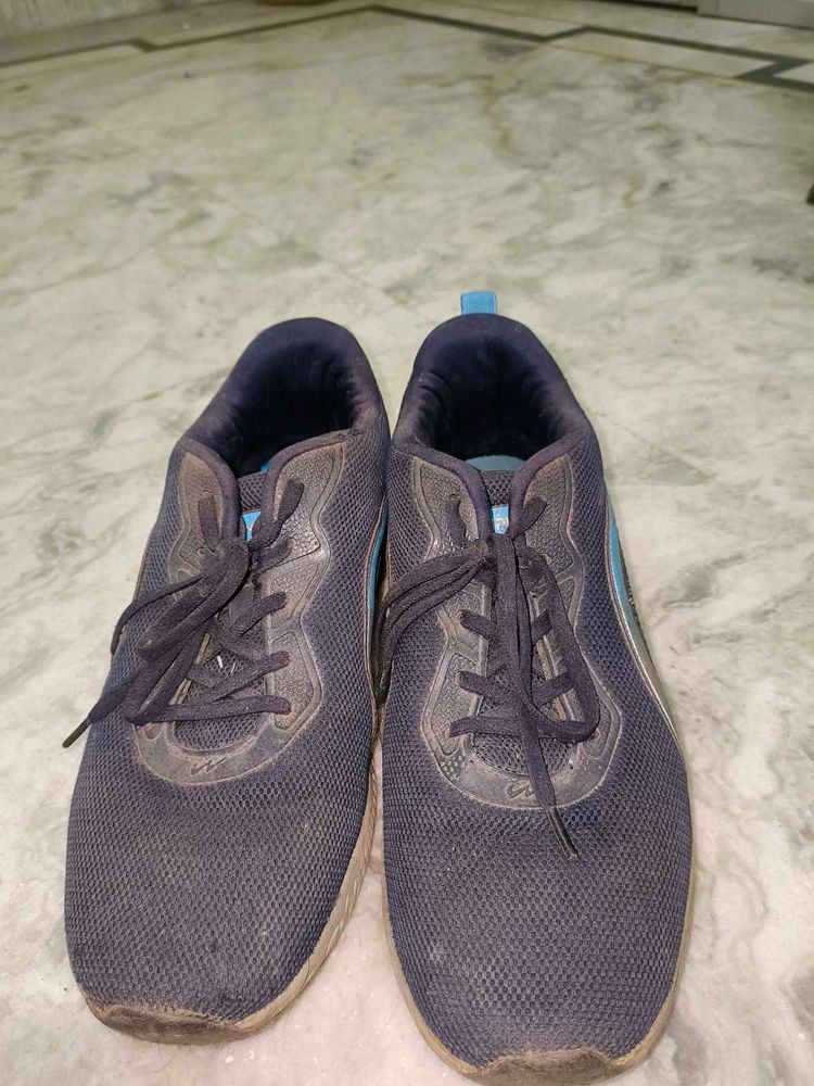 Campus running shoes