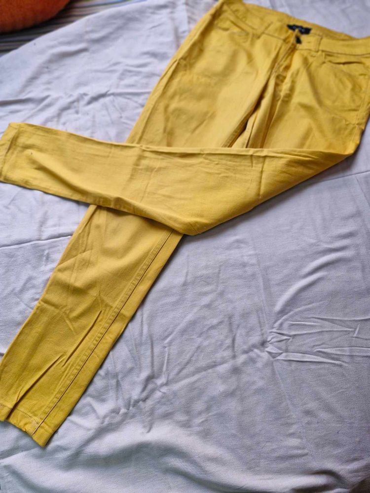Mustard Casual Pants