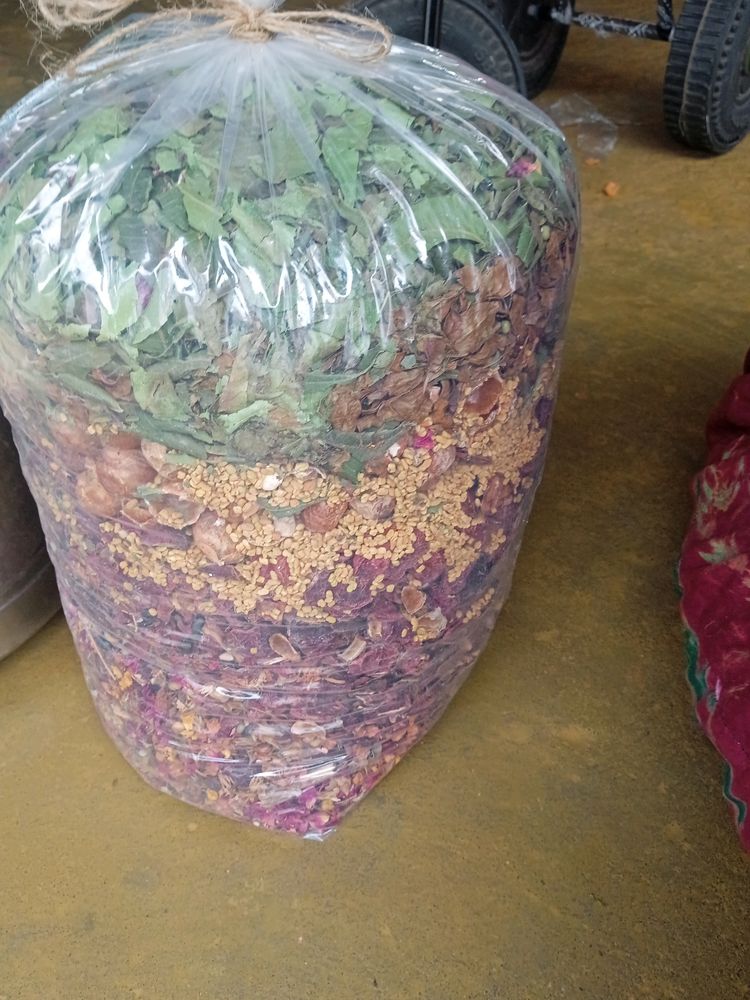 Homemade Shikakai Shampoo Powder