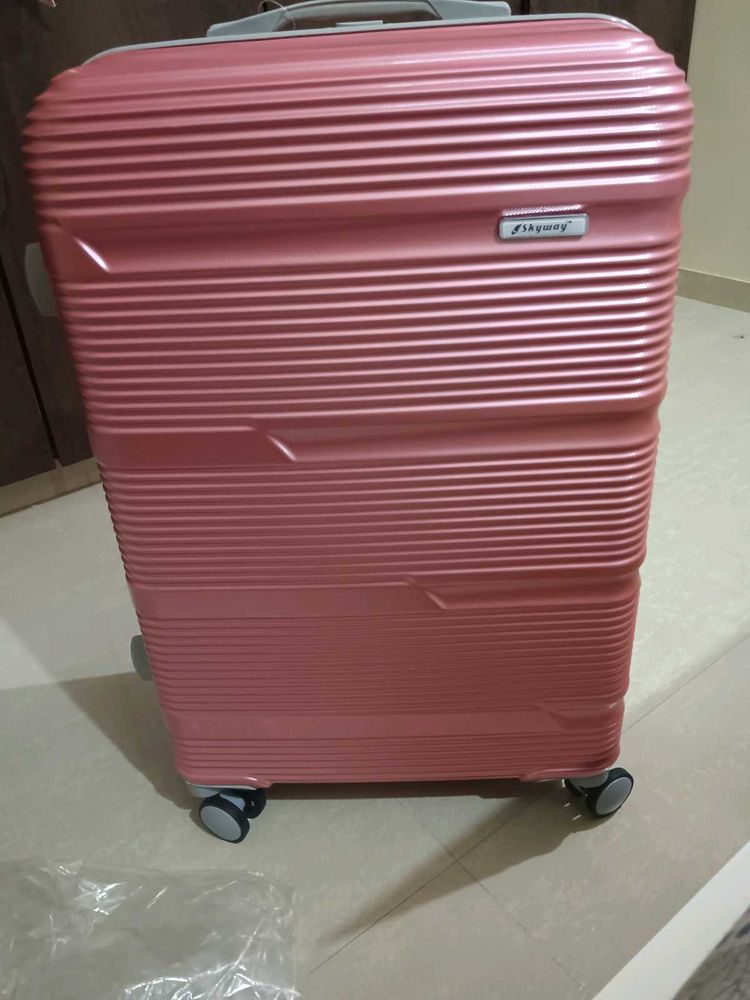 Travel Beg