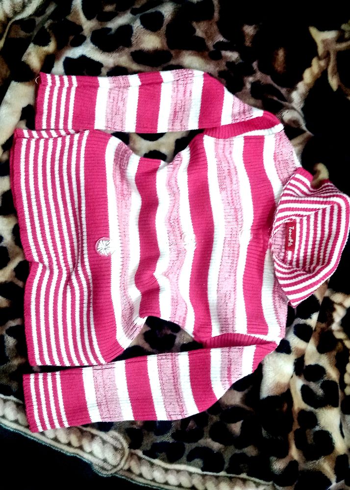 Trendy Crop Sweater
