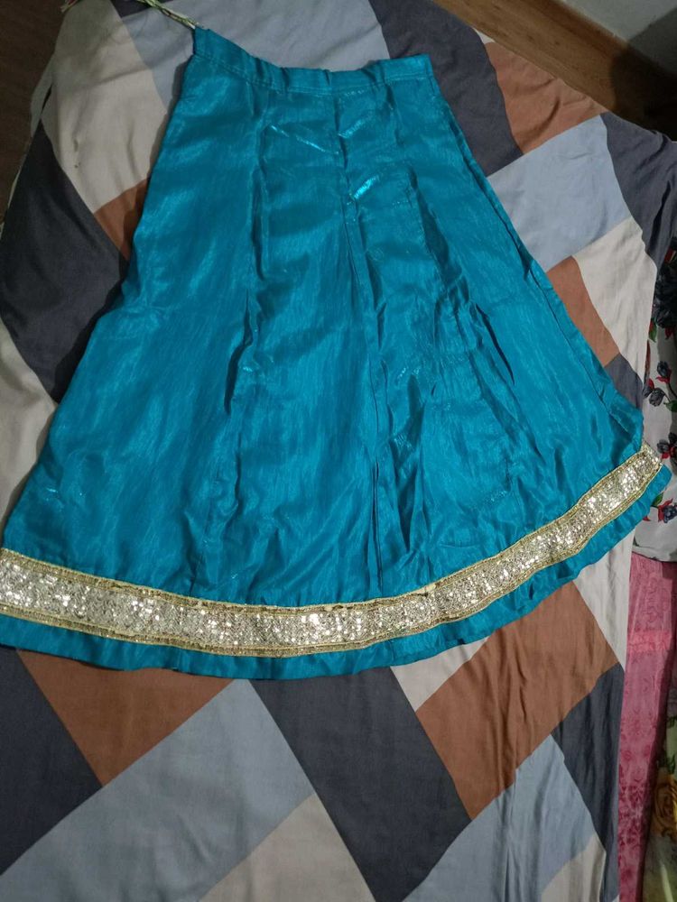 Skirt/ Lehenga