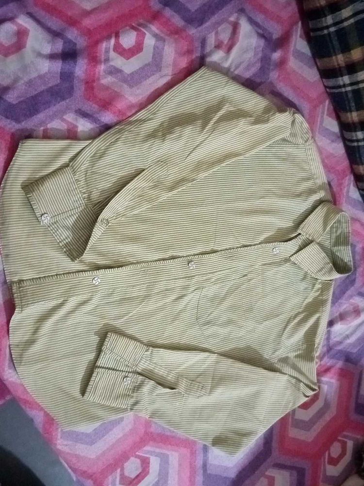 Striped Casual Shirt