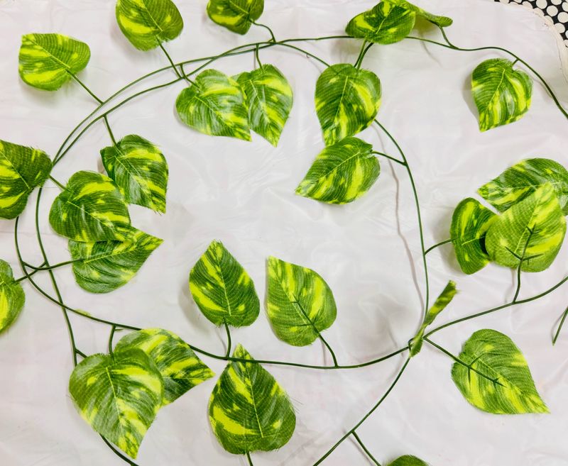 decorative green string with leave wings