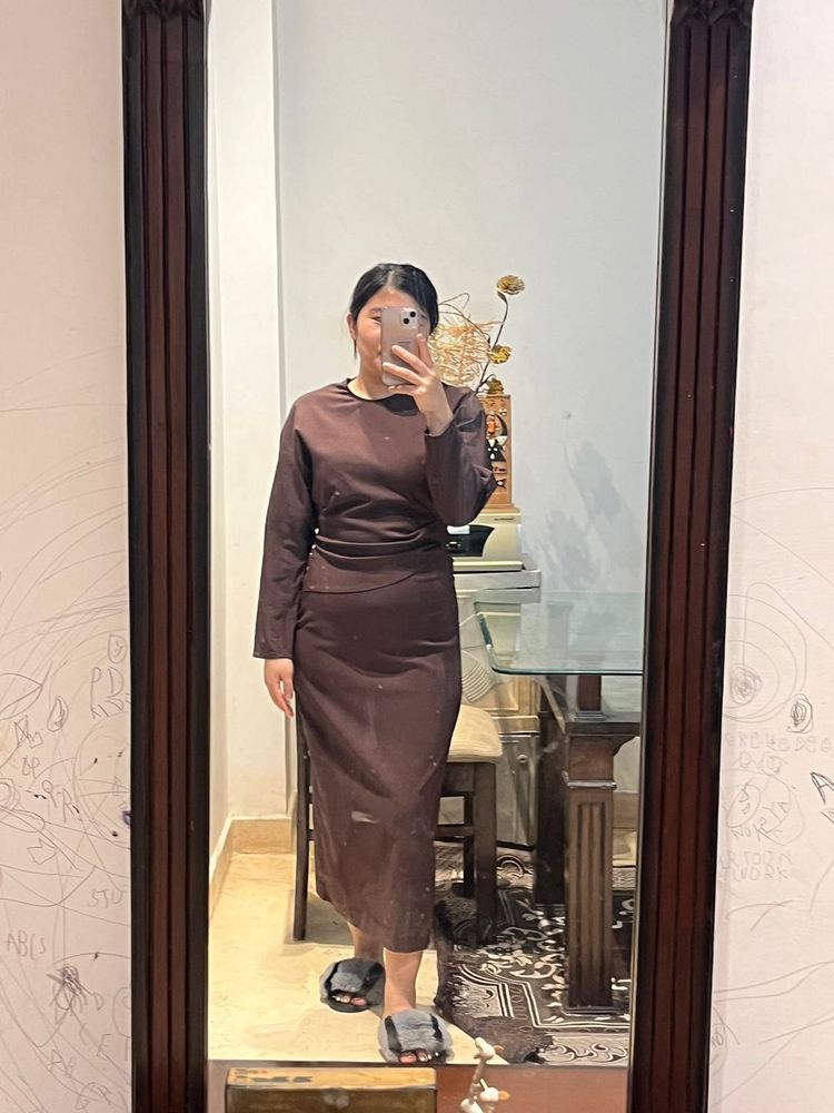 Zara Classic Dress Like New No Tag