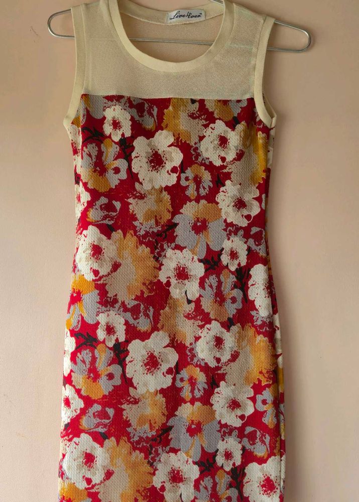 Women&#39;s Bodycon Print Dress