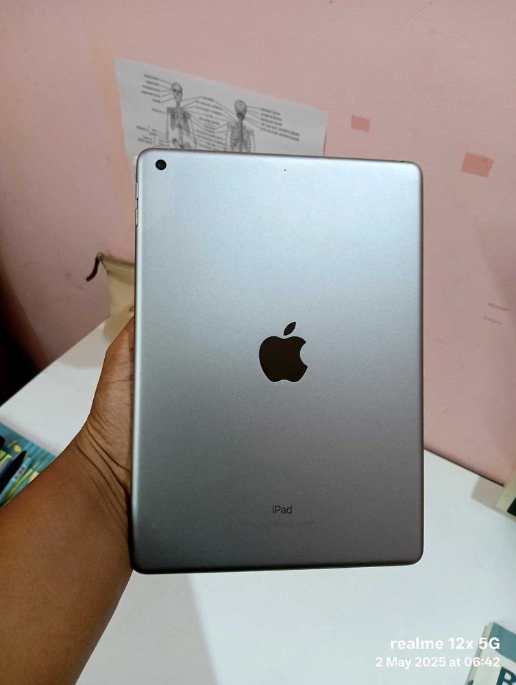 Apple Ipad 6th Generation (Wifi)