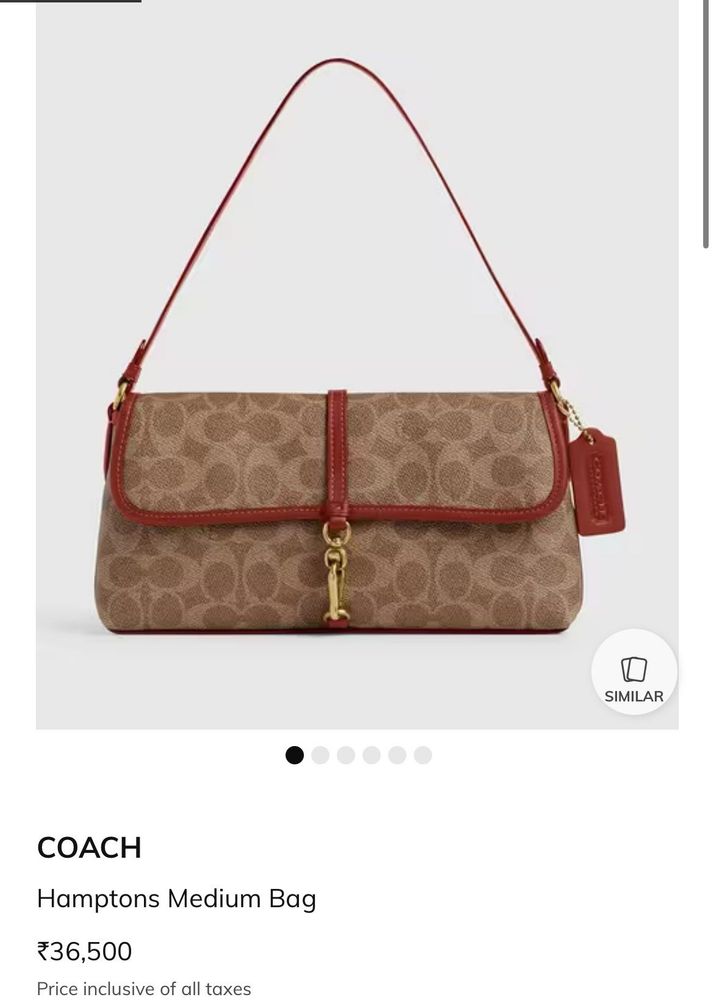 Coach Hamptons Bag Dupe