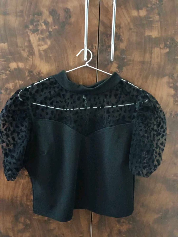Sheer Sleeve Top