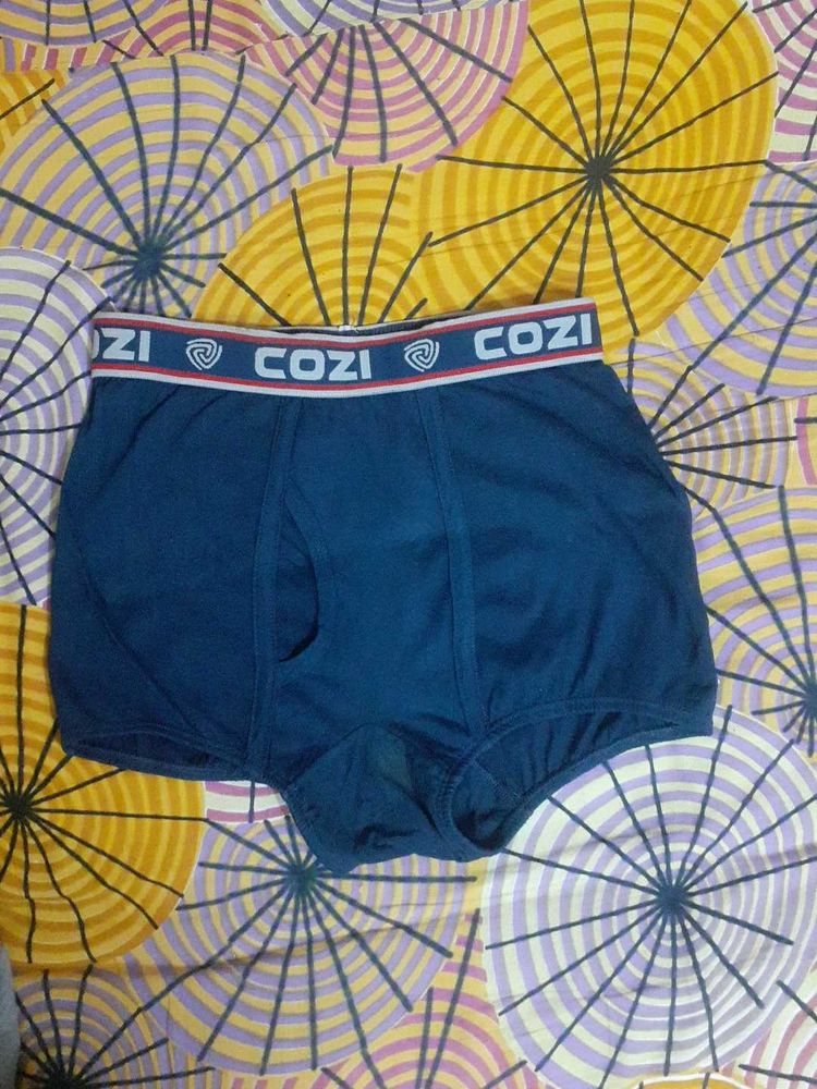 LUX COZI Men's Briefs Blue Underwear Size M-85