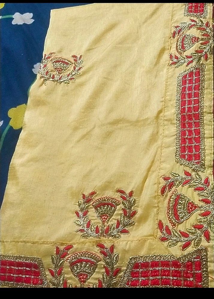 pattan blouse with sari