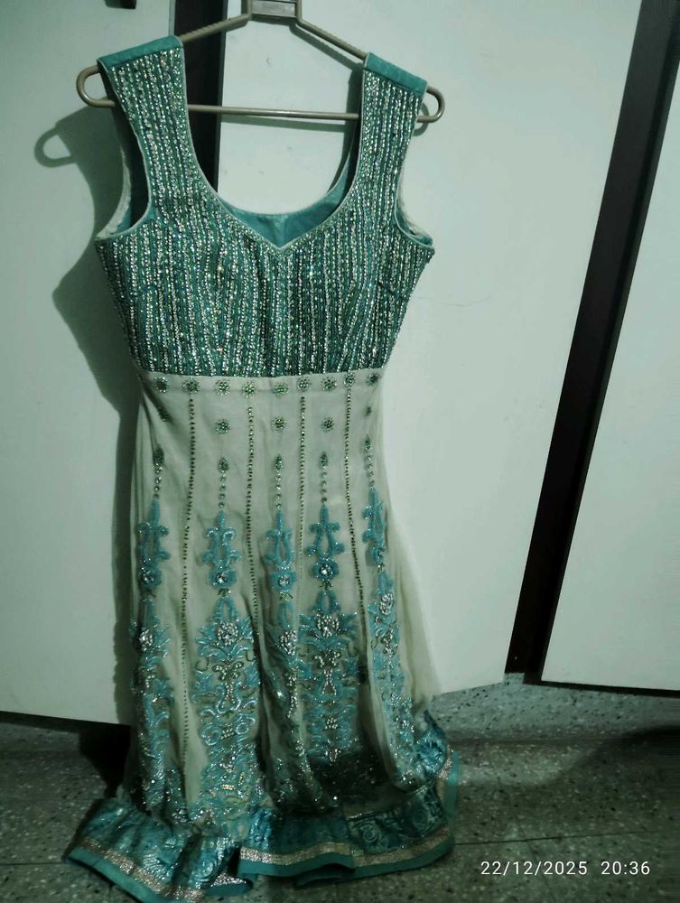 Elegant Embellished Ethnic Gown