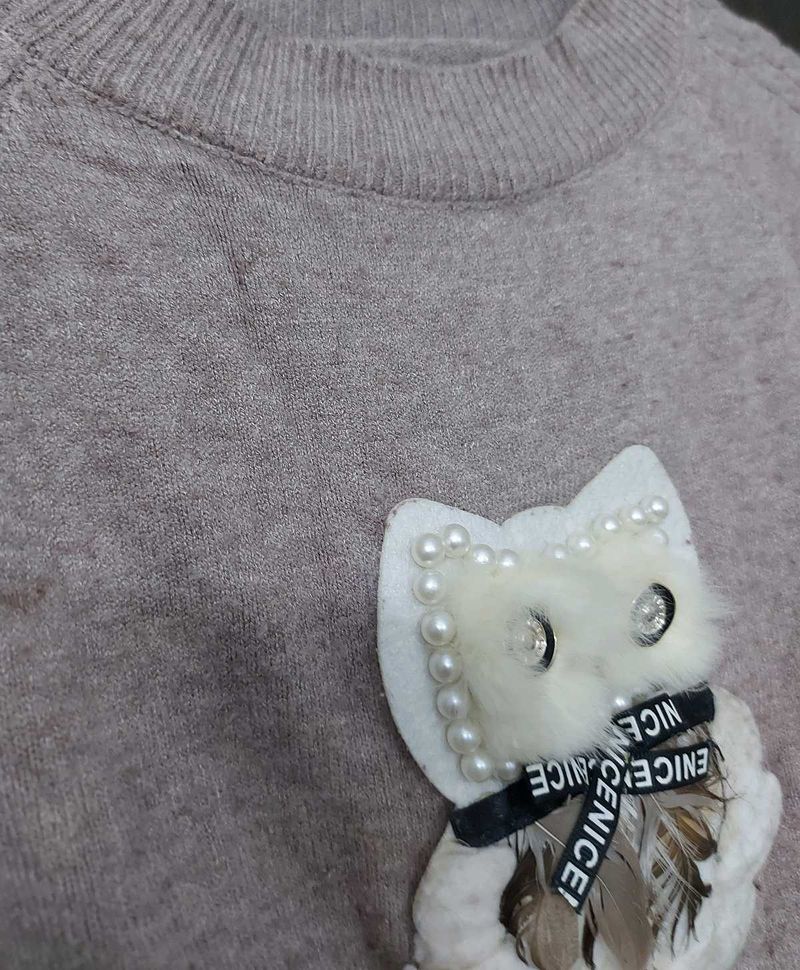 Cute Owl Embellished Sweater