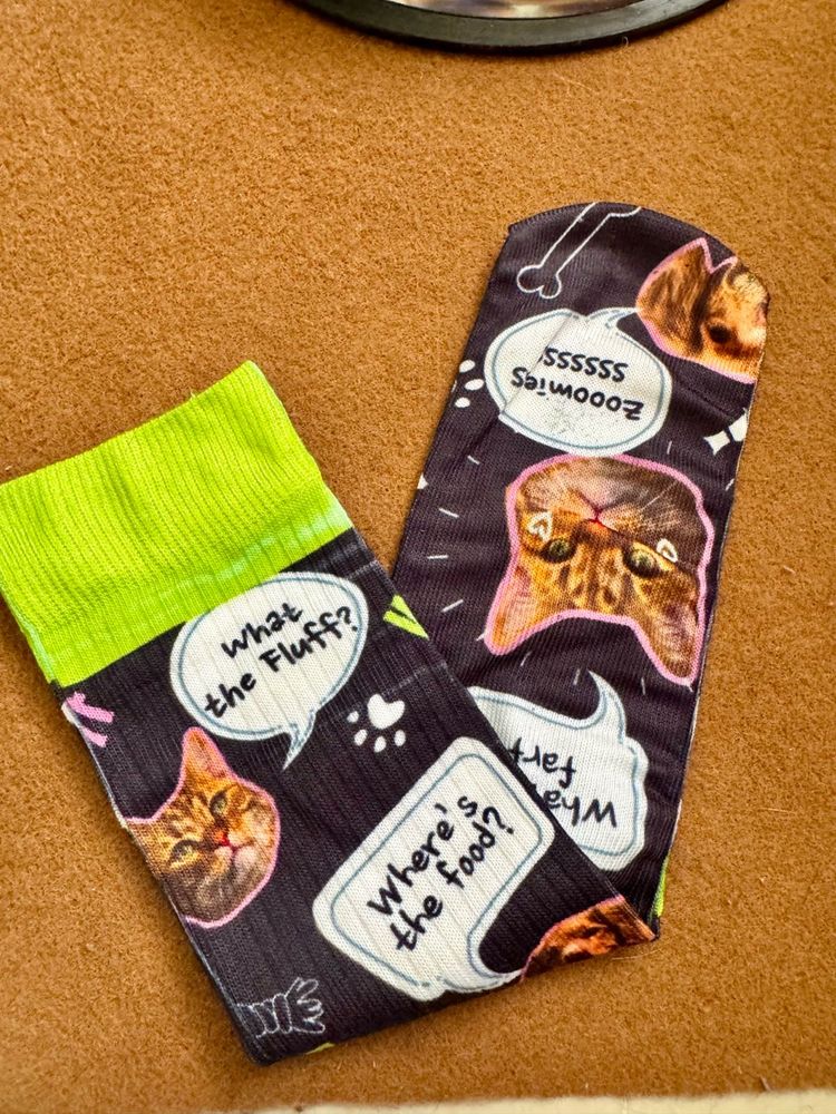 Funky Sock For Your Pet Ft. Cat &amp; Dog