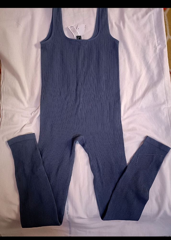 Ribbed Knit Bodysuit