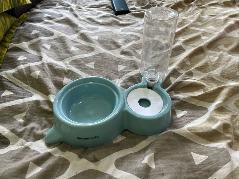 Dog Accessories Combo
