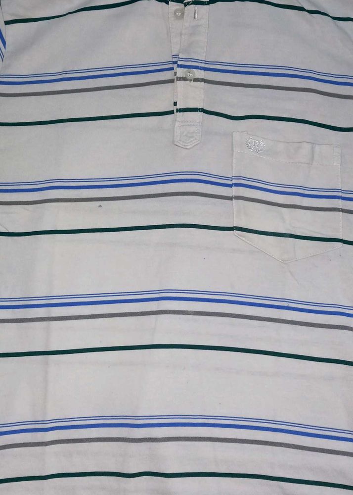 Striped Polo T-Shirt