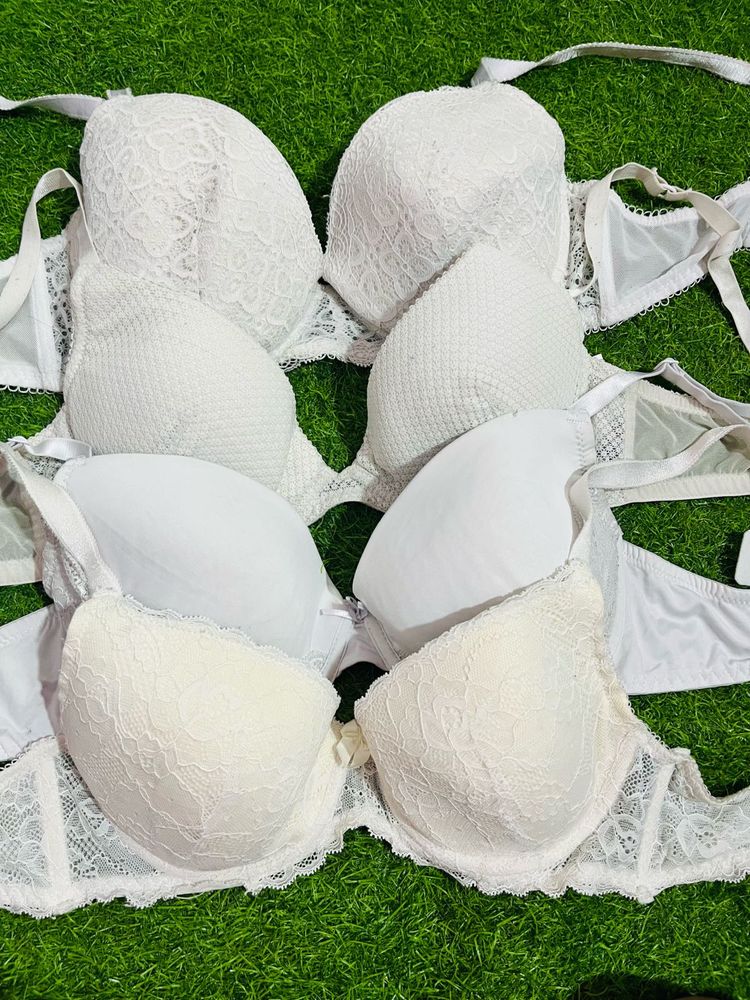 38 Cd Padded