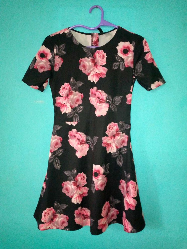 Floral Print Skater Dress