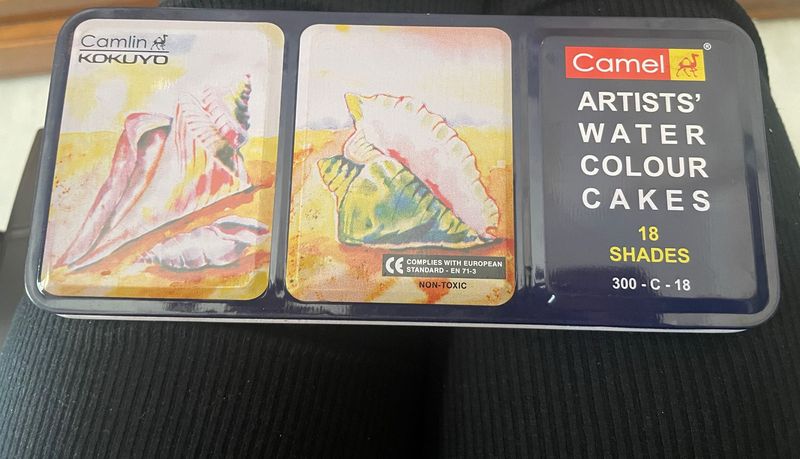 Camlin Art Cake Kit