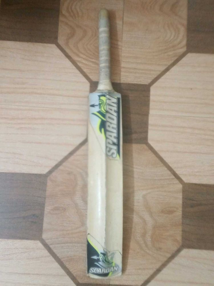 Cricket Bat