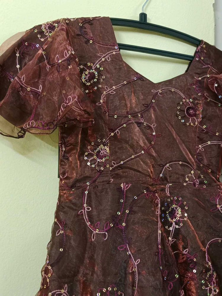 Elegant Ethnic Gown