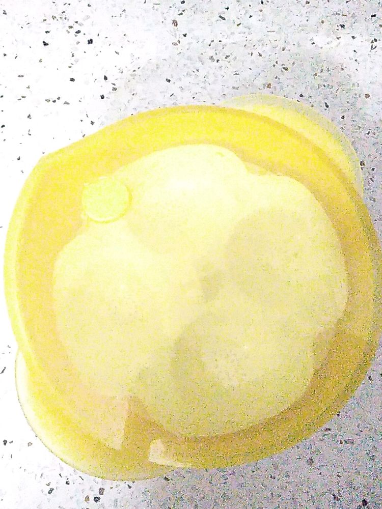 Microwave Idli Maker 2 Layer With Lid Totally New