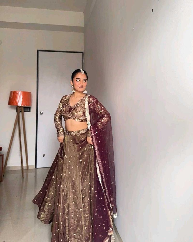 🆕️🆕️Jimmy Choo Lehenga With Blouse And Dupatta