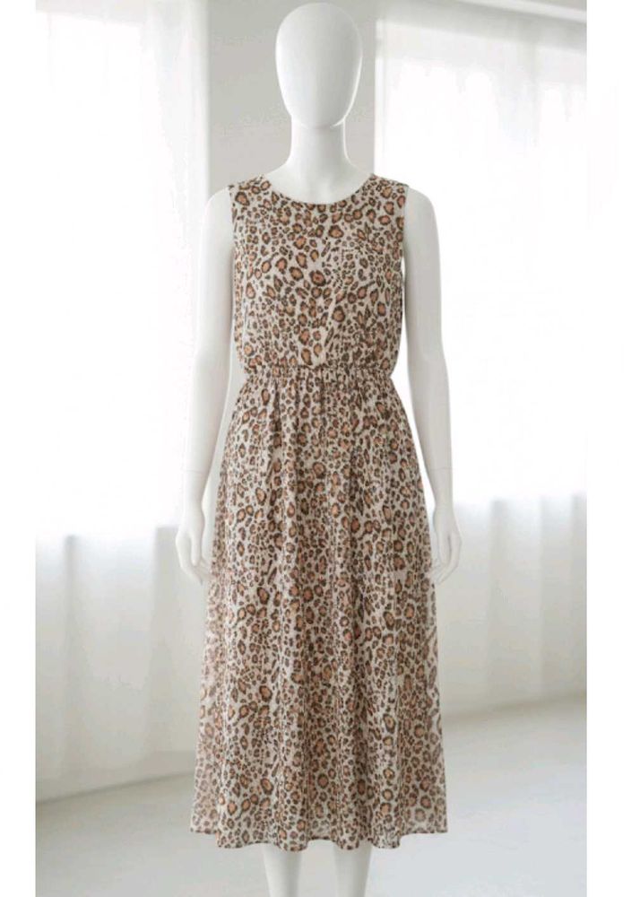 Trending Animal Print Dress